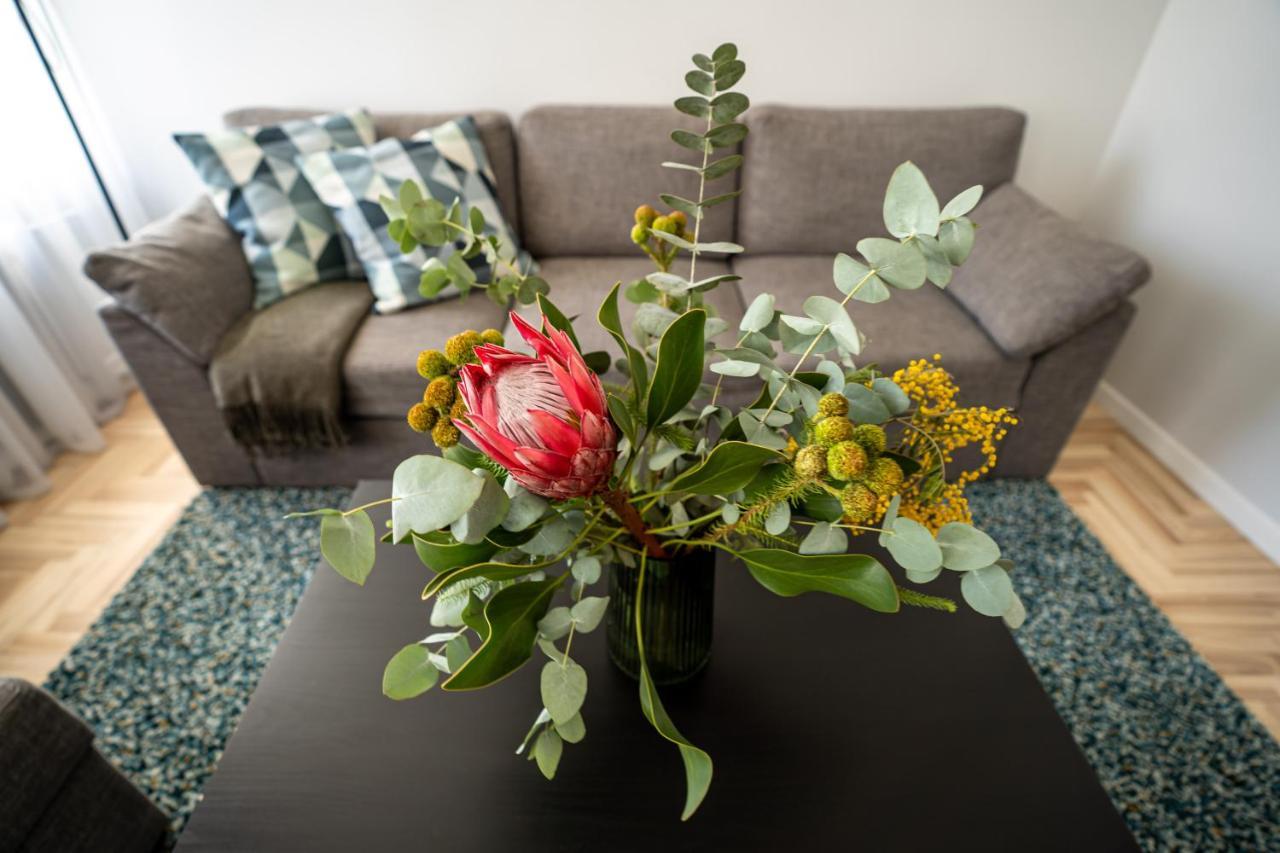 Lovely Apartment In The City Center Kaunas Luaran gambar
