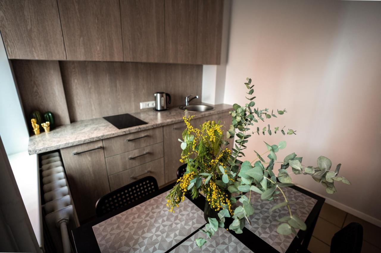 Lovely Apartment In The City Center Kaunas Luaran gambar